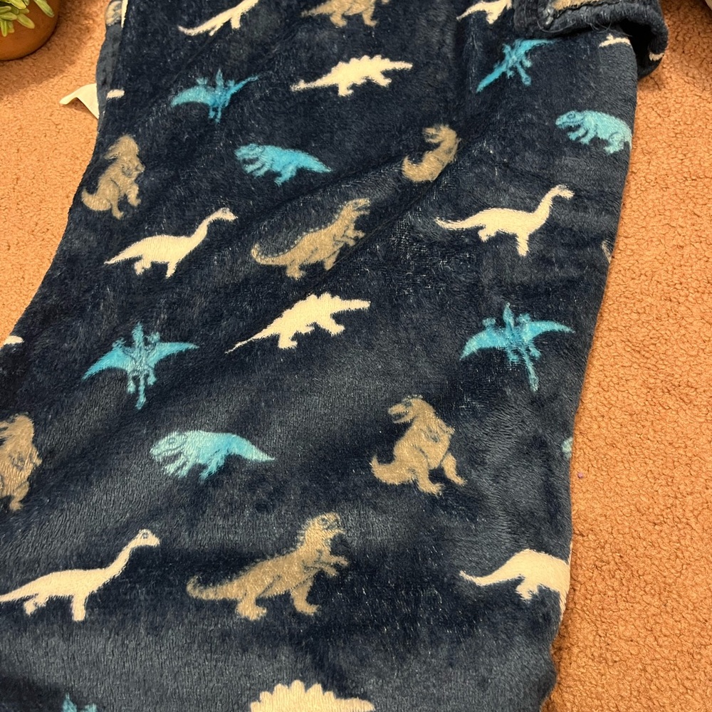 Dinosaur Print blue Kids soft fuzzy blanket